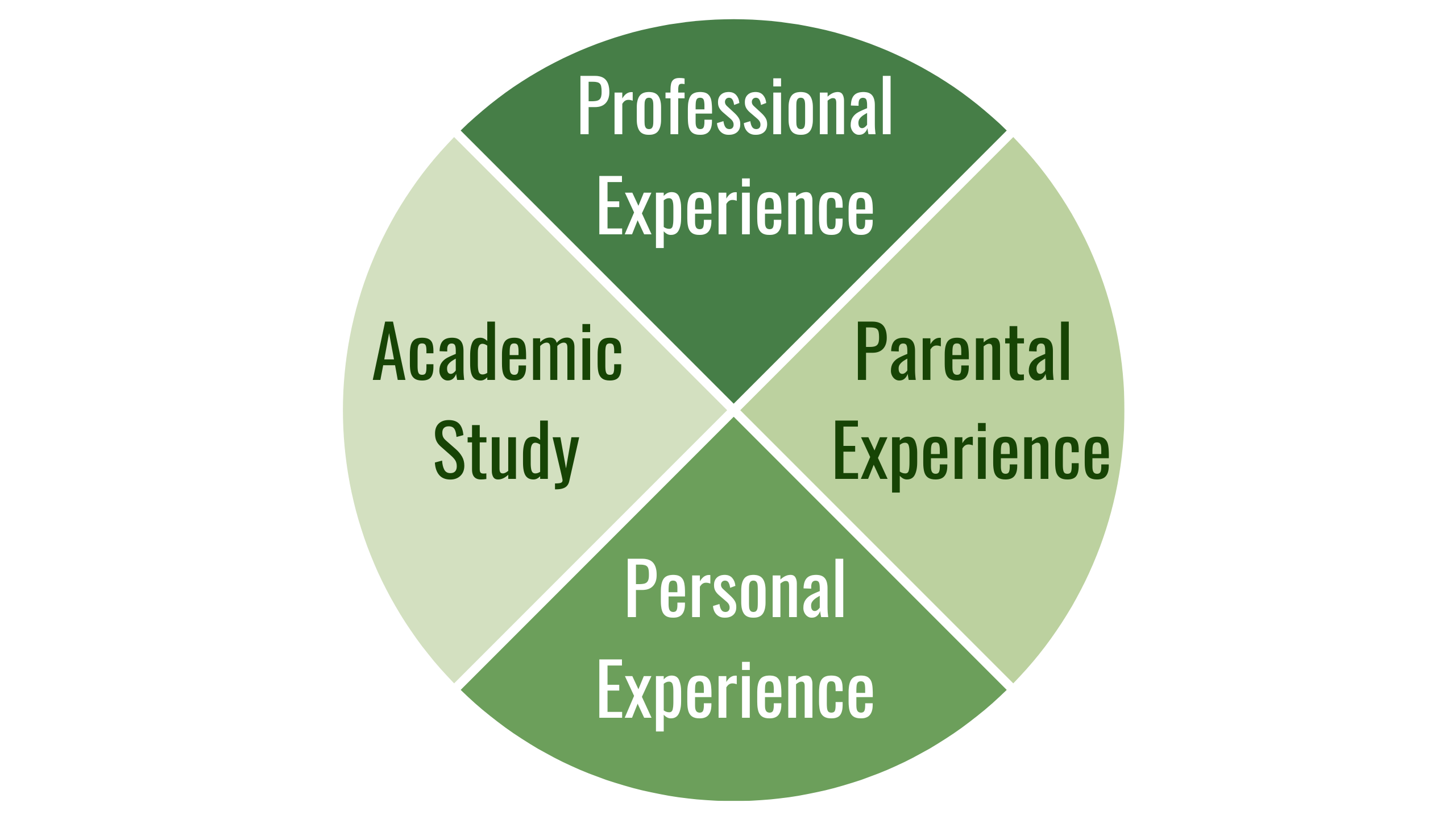 Circle in quarters with 'professional experience', 'parental experience', 'personal experience' and 'academic study' written in each quarter.