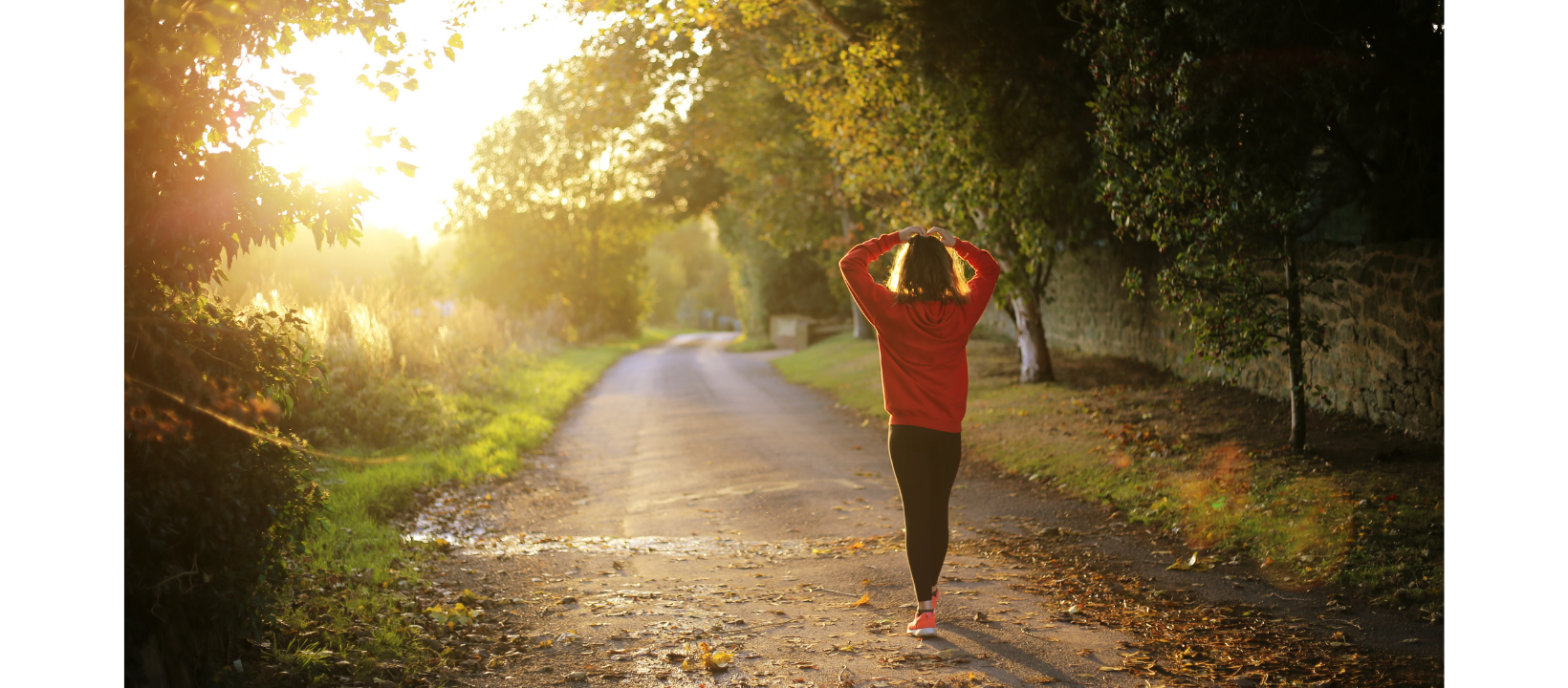 a sunset image of a path through a forest with a person standing with their back to the camera and their hands on their head