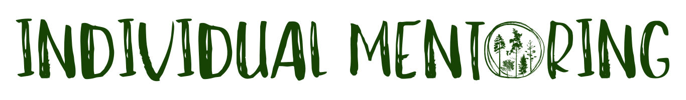 says individual mentoring