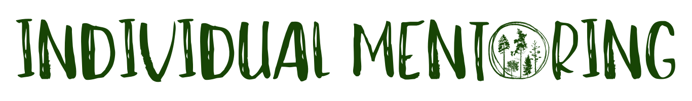 says individual mentoring