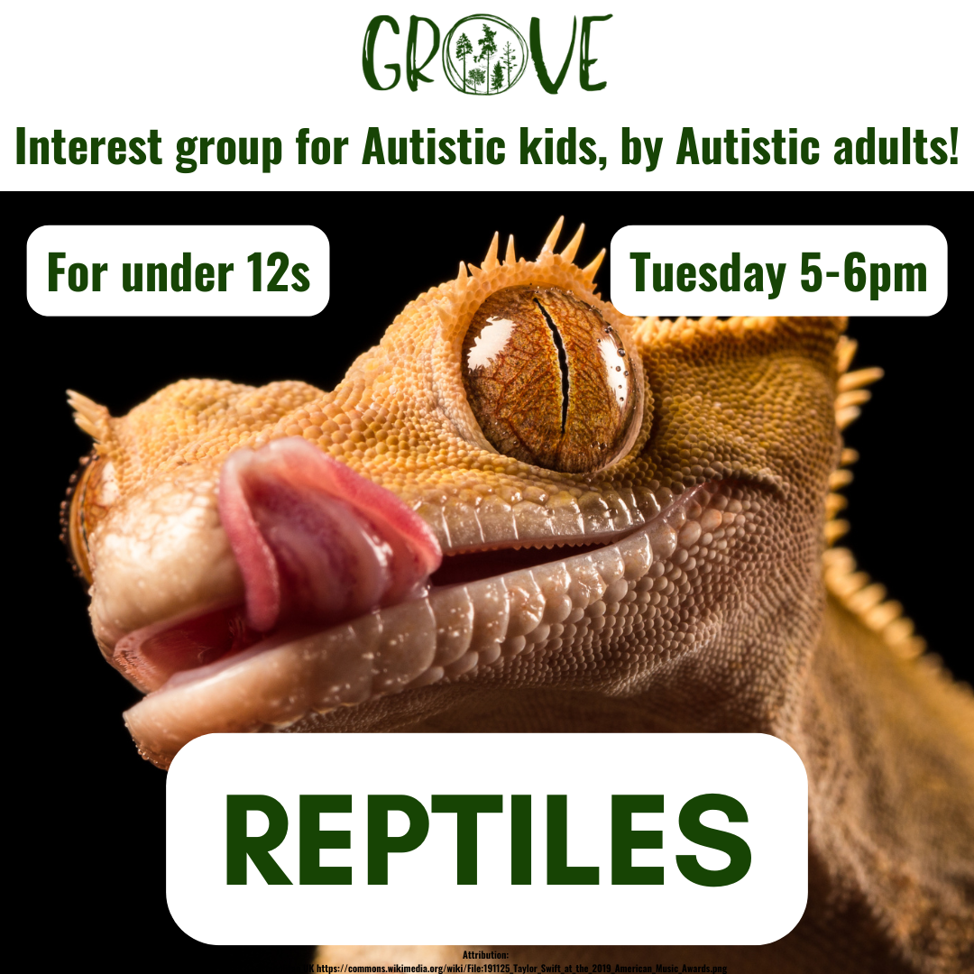 IMAGE OF REPTILE